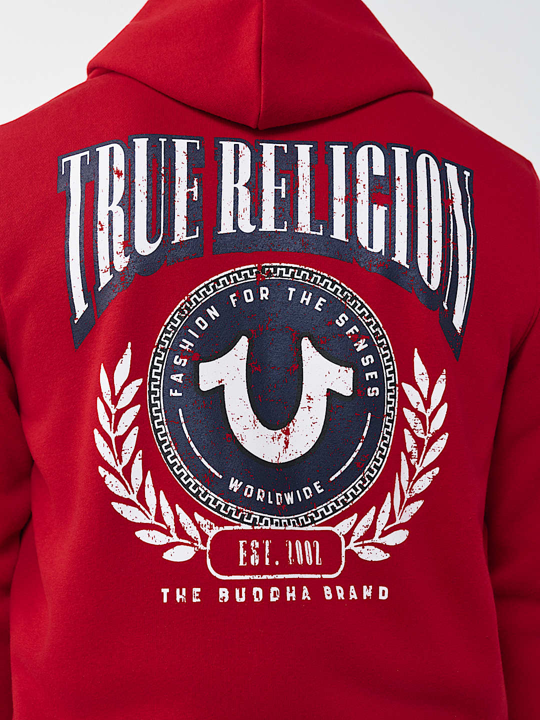 COLLEGE HORSESHOE ZIP HOODIE, image 1