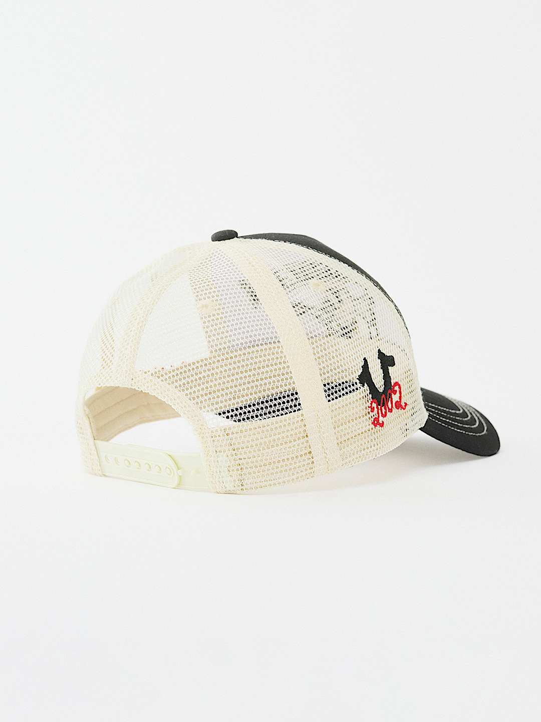 VARSITY TRUCKER HAT, image 7