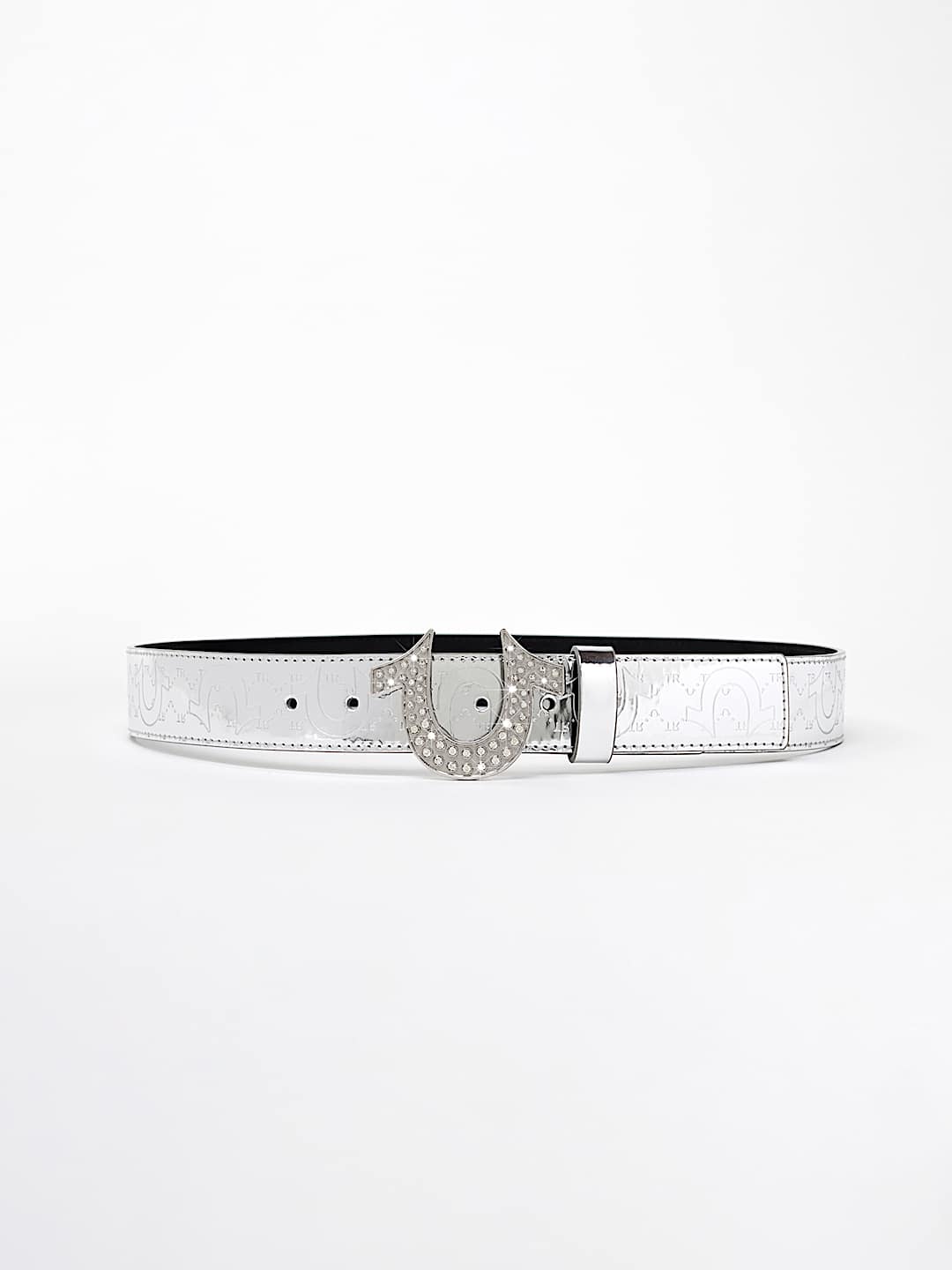 CINTUR&Oacute;N MET&Aacute;LICO CON HERRADURA ARGENT SAGE, image 1