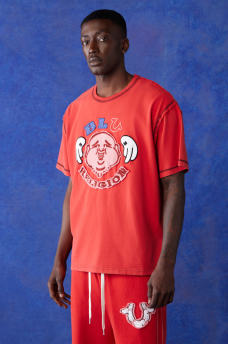BLU RELIGION BOXY CROPPED TEE, image 5