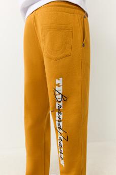 PUFF PRINT LOGO SWEAT PANT, image 2