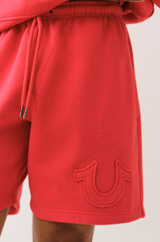 HORSESHOE APPLIQUE SWEAT SHORT, image 4