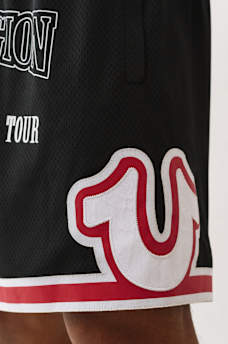 ARCHED LOGO BASKETBALL SHORT, image 5