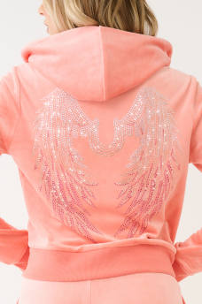 CRYSTAL HS WING VELOUR ZIP HOODIE, image 1