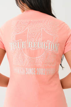METALLIC PUFF PRINT HORSESHOE V NECK TEE, image 1