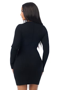 EMBROIDERED BUTTON-DOWN SWEATER MINI DRESS