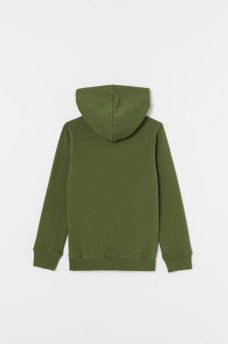 BOYS LOGO HOODIE, image 2