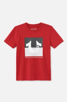 BOYS TWO TONE BRANDED LOGO TEE, image 1