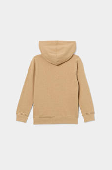 BOYS REGISTERED HORSESHOE HOODIE, image 2