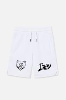BOYS LOGO MESH SHORT, image 2