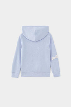 GIRLS COLLEGIATE LOGO PULLOVER HOODIE, image 2