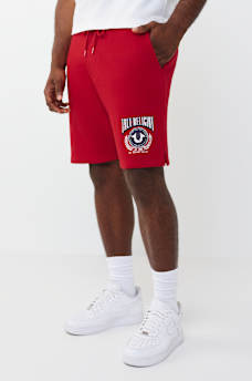 SUDADERA UNIVERSITARIA CON HERRADURA, image 4