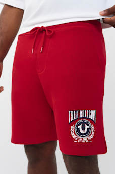 SUDADERA UNIVERSITARIA CON HERRADURA, image 1