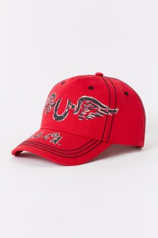 WING LOGO HAT