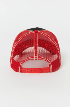 TRUE RELIGION 2002 LOGO HAT, image 3