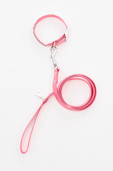 CRYSTAL COLLAR & LEASH SET, image 3