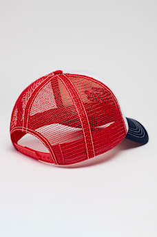 TRUE RELIGION X FORD TRUCKER HAT, image 5