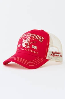 VARSITY TRUCKER HAT, image 5