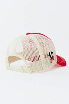 VARSITY TRUCKER HAT, image 7