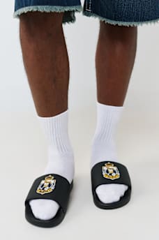 HORSESHOE CREST SLIDES, image 2