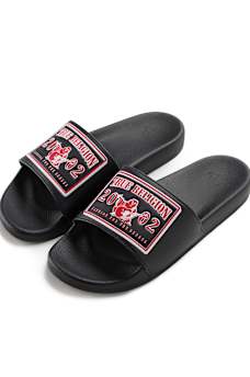 2002 LOGO PATCH SLIDES