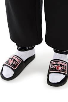 2002 LOGO PATCH SLIDES