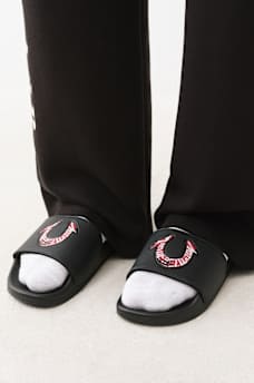 HORSESHOE SLIDES, image 3