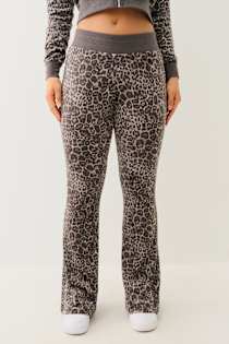 Gray Leopard
