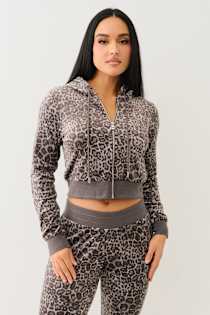 Gray Leopard