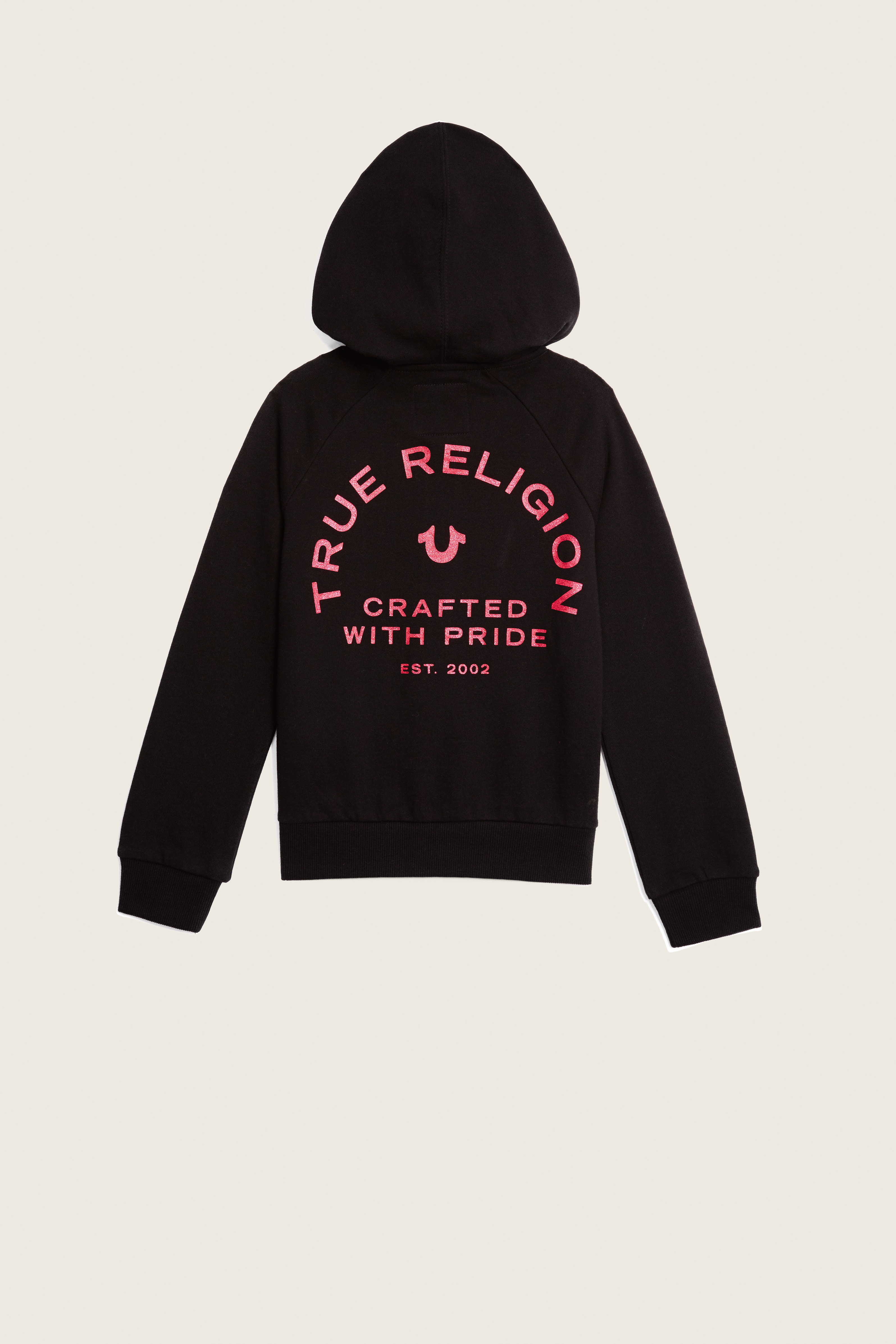 True religion crafted on sale with pride hoodie